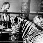 Reiner Zieger Foto © Michael Barz